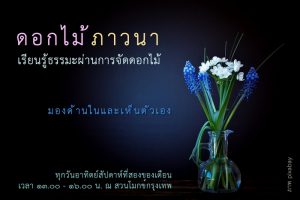 20161103_-_%e0%b8%94%e0%b8%ad%e0%b8%81%e0%b9%84%e0%b8%a1%e0%b8%a0%e0%b8%b2%e0%b8%a7%e0%b8%99%e0%b8%b2-_web