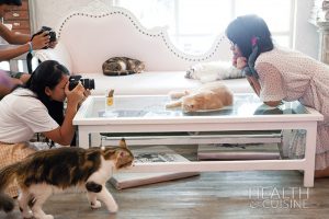 caturday cafe