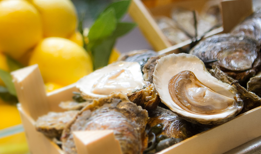 OYSTERS OF THE WORLD