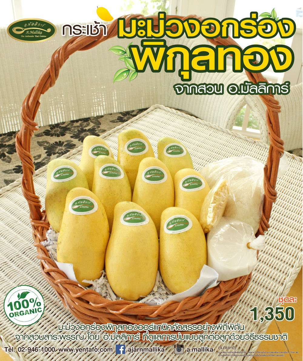 มะม่วงอกร่องพิกุลทอง