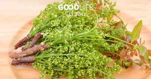 สะเดา ผักผลไม้