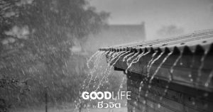 ฝนหลวง